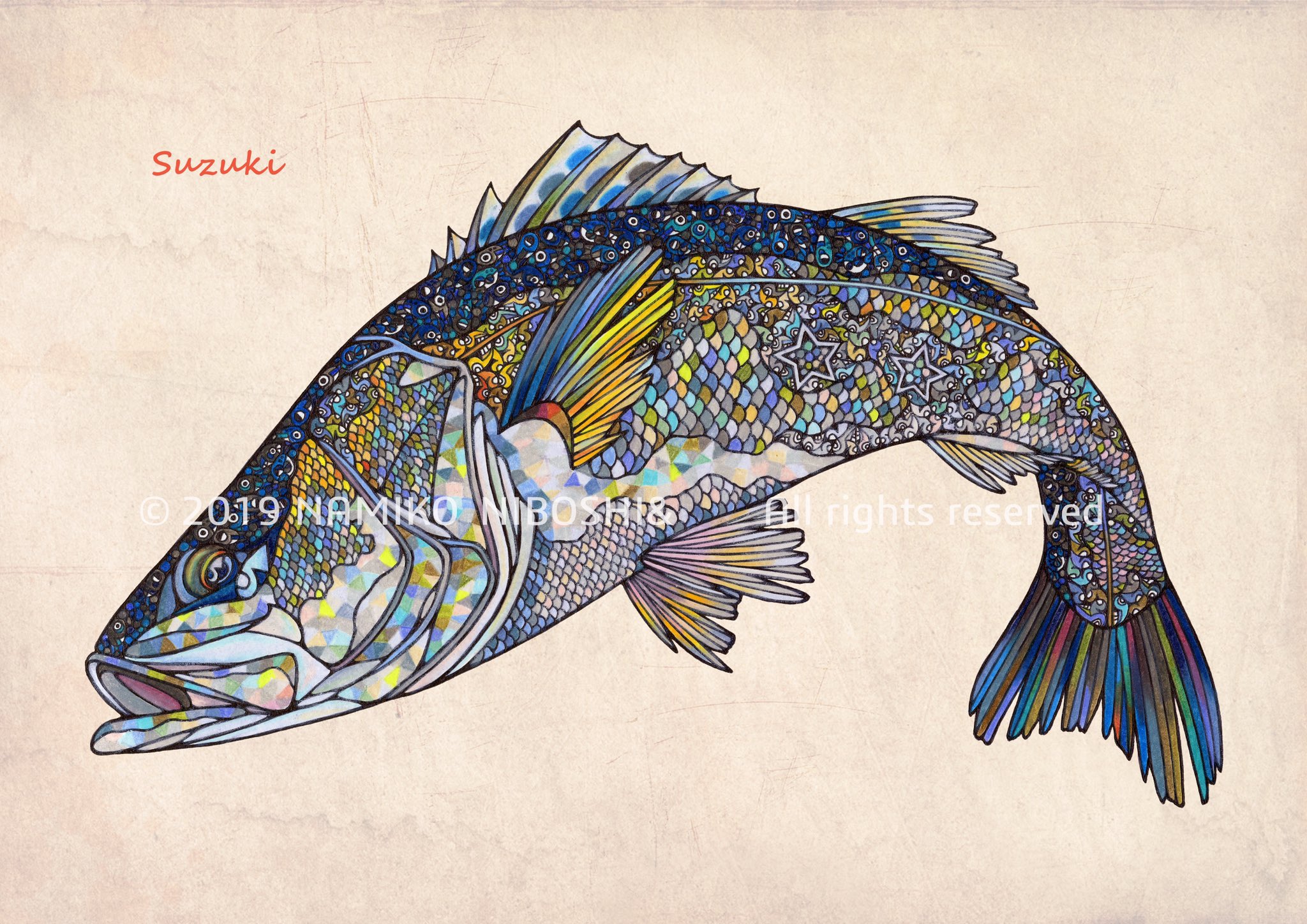 Namiko イラスト図鑑 スズキ File187 イラスト 魚 スズキ シーバス T Co Wdplsfk2w3 Twitter