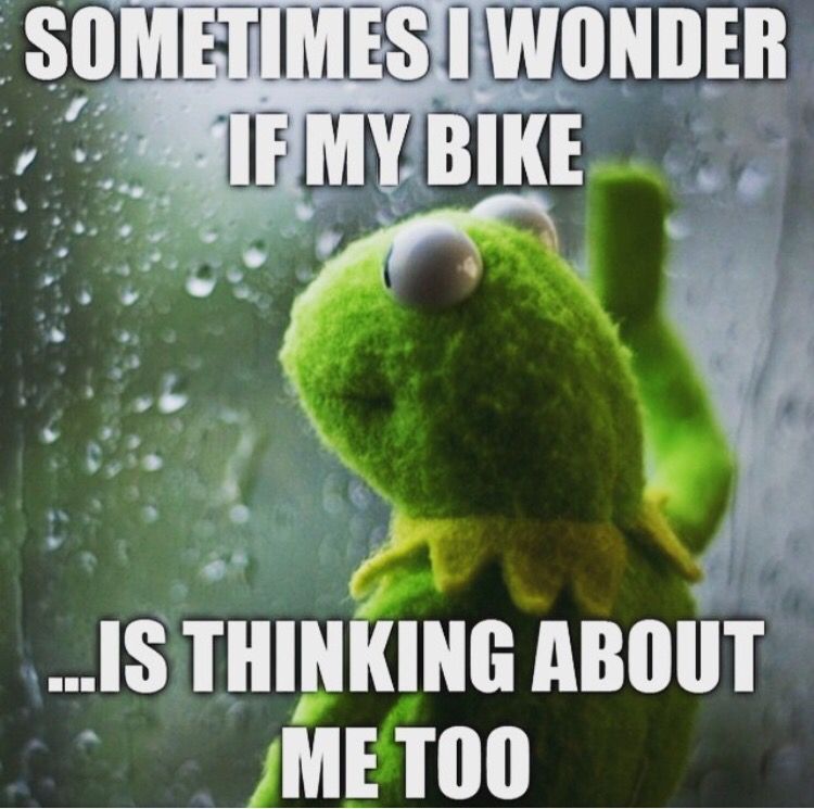 cycleschemeltd's tweet image. #Cycling #Cycle #Cyclescheme #Funny
