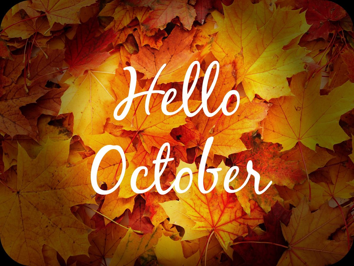 WHTCommunity's tweet image. #PinchPunch it's the #firstdayofoctober...🍂🌿🎃