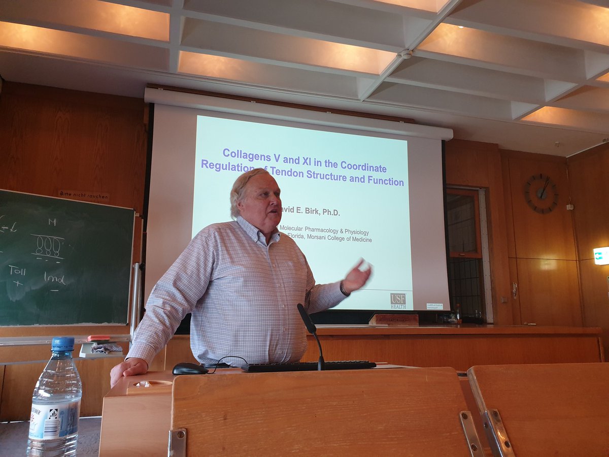 DFG_FOR2722's tweet image. Excellent Talk from David Birk from the University of Florida on Collagen #matrixassembly in the #musculoskeletalsystem .