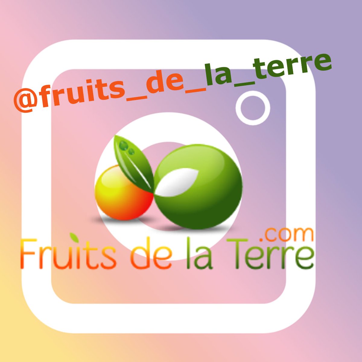 ContactFdt's tweet photo. Fruits de la Terre se lance sur Instagram.

Découvrez nos photos de produits et événements sur notre instagram : https://t.co/QNcMSOKwaO

#fruitsdelaterre #fruitsetlégumesdesaison #produitsfrais #bio #lille #food #cuisine #passioncuisine #chefs #gastronomie https://t.co/SLHlp5vk5O