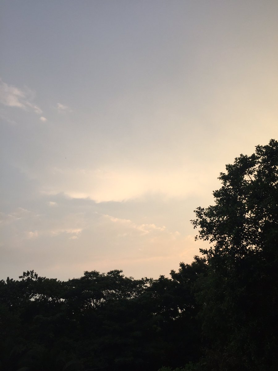 bright__Sky12 tweet media