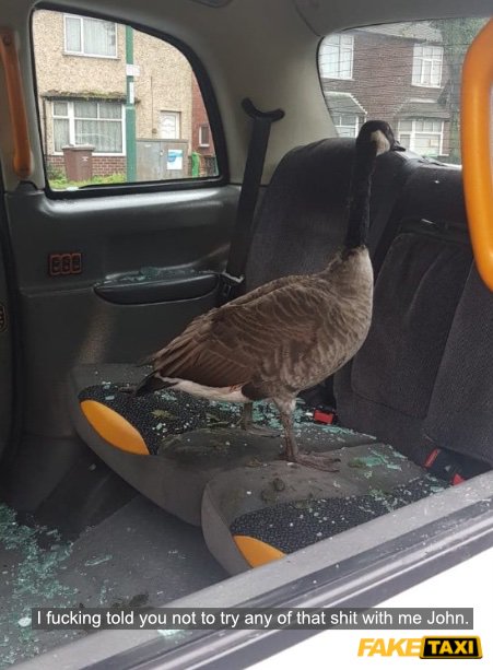 [Image: EFymcJhXYAEFjZr?format=jpg&name=small]