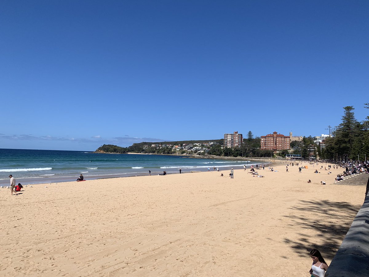 shlamps's tweet photo. Could sit here all day every day โค๏ธ #manly #manleybeach #travel #gaytravel #australia #aussiebeaches #aussie #downunder #wanderlust https://t.co/ll9VIEyIE5