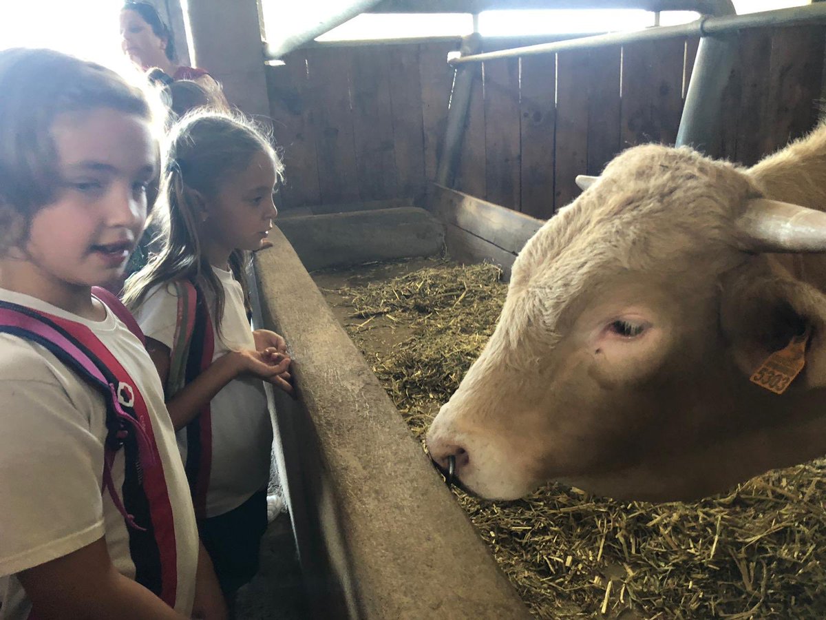 PrimariaSF_LosL's tweet photo. #3PRIM / Excursión en La Granja Experimental de Garafía dentro del #Proyectodecomprensión #BeNazaret @coleinnovadores https://t.co/2wu0olO3FW