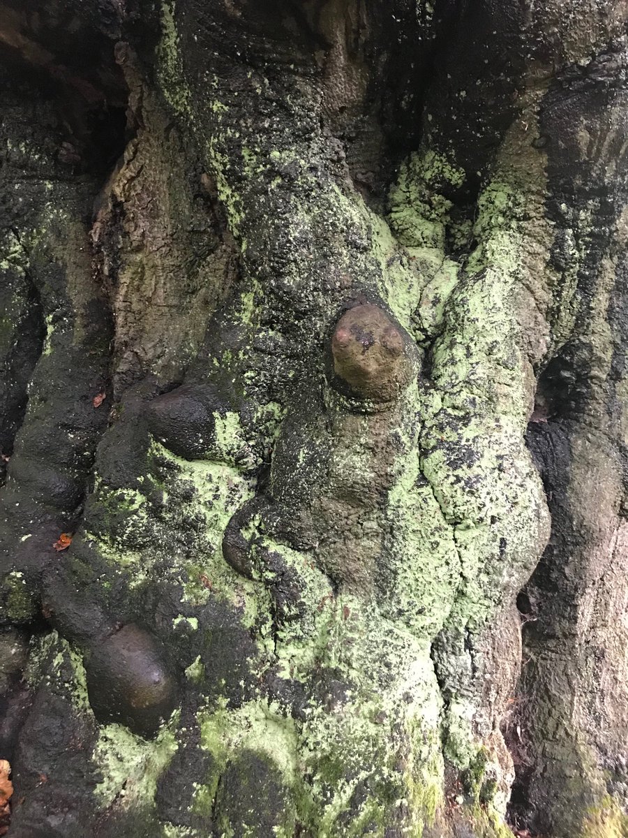 A Vision of Britain tweet media