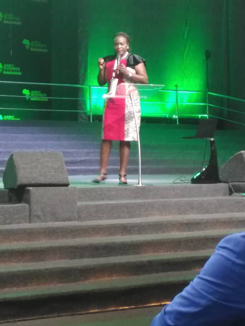 Okonkwo_Kenn's tweet photo. Nigeria needs to start Producing both Raw materials & add value to them; thereby creating multi-billion dollar brands.
We need to be producing not only standard commodities but also Global brands....Mrs. Subomi Plumpter.
@subomiplumptre
@agricbusinessng
#ABAC2019 https://t.co/28KLSV2JnV
