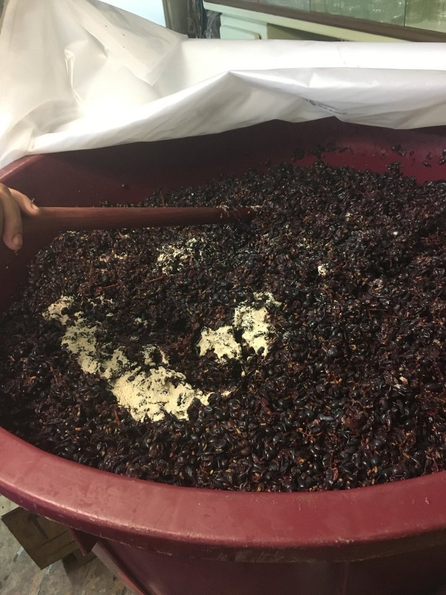 Homemade Wine: Fermentation olivetreebythesea.wordpress.com/2019/10/01/hom…