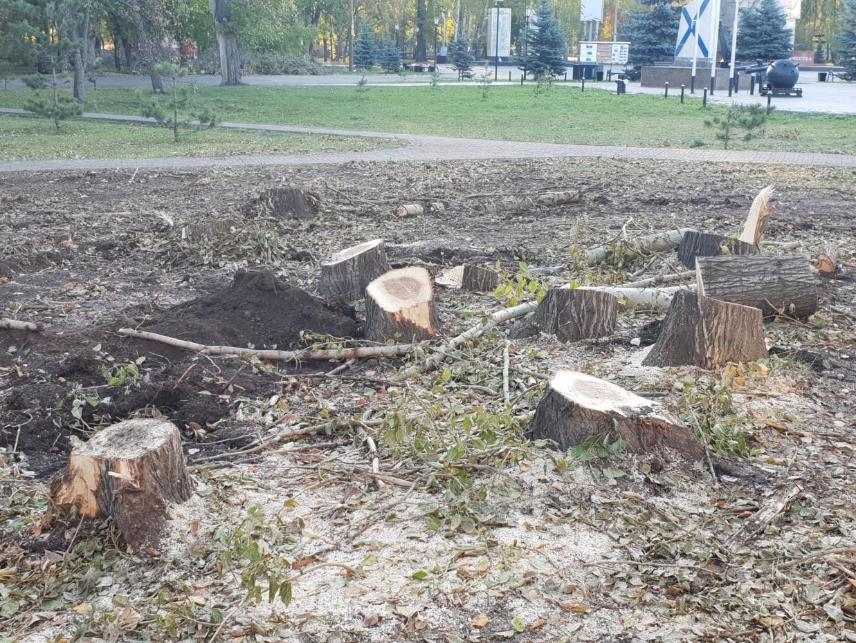 Вырубка деревьев в Москве
