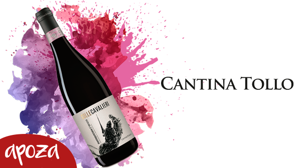Recién llegada a Apoza la renovada linea de vinos Colle Cavalieri de Cantina Tollo. Bodega familiar con casi 60 años de historia situada en la región de Abruzzo.
¿Necesitas más info? ➡ bit.ly/2o7CuH8