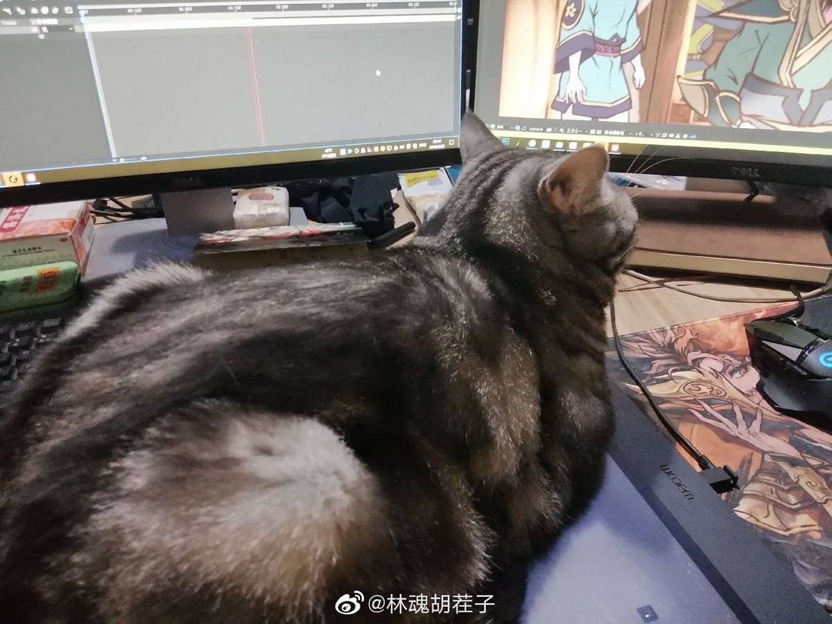 liudaowuyu's tweet photo. 祖国华诞，加班不断！ https://t.co/YLQZoB0BhJ