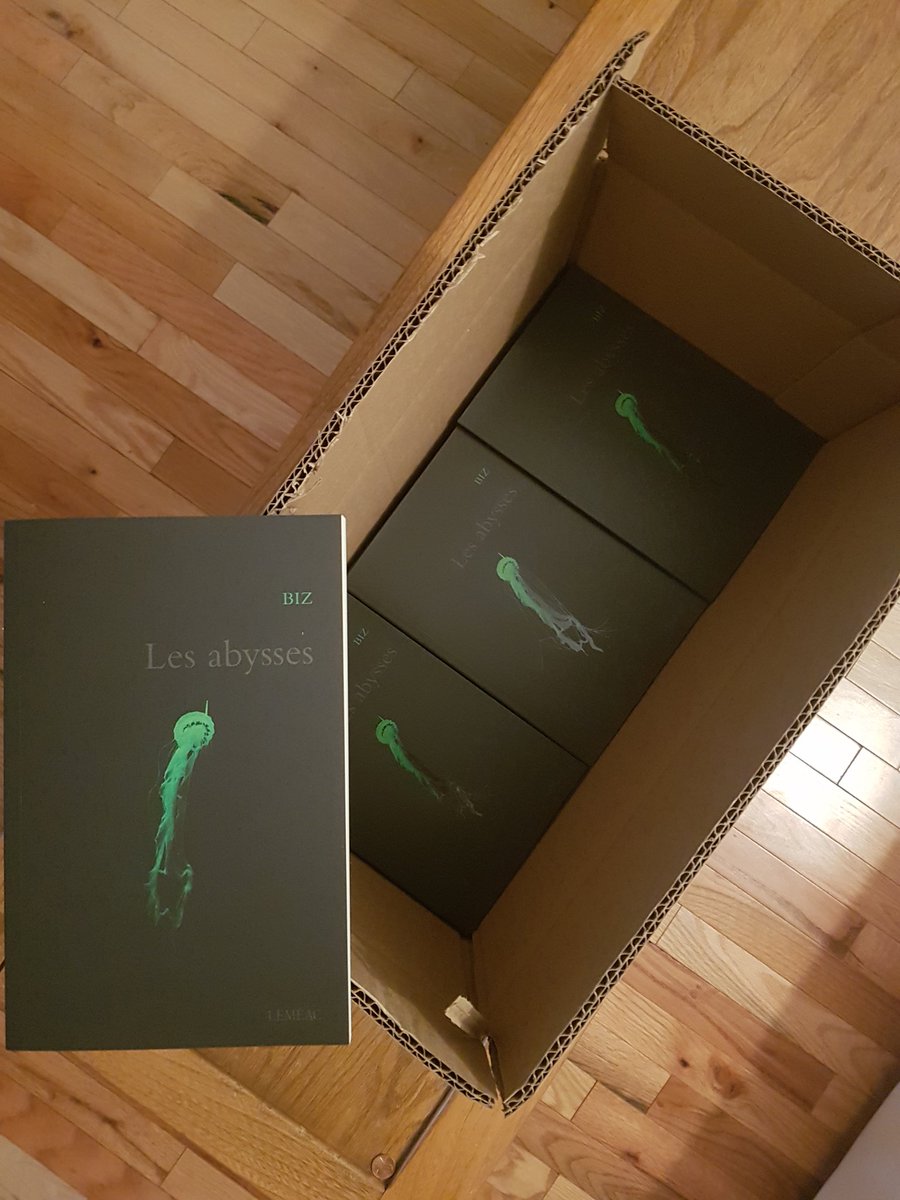 Ça c'est une belle nouvelle : Les abysses, mon 7ieme roman vient tout juste de sortir de presse. En librairie dès jeudi.