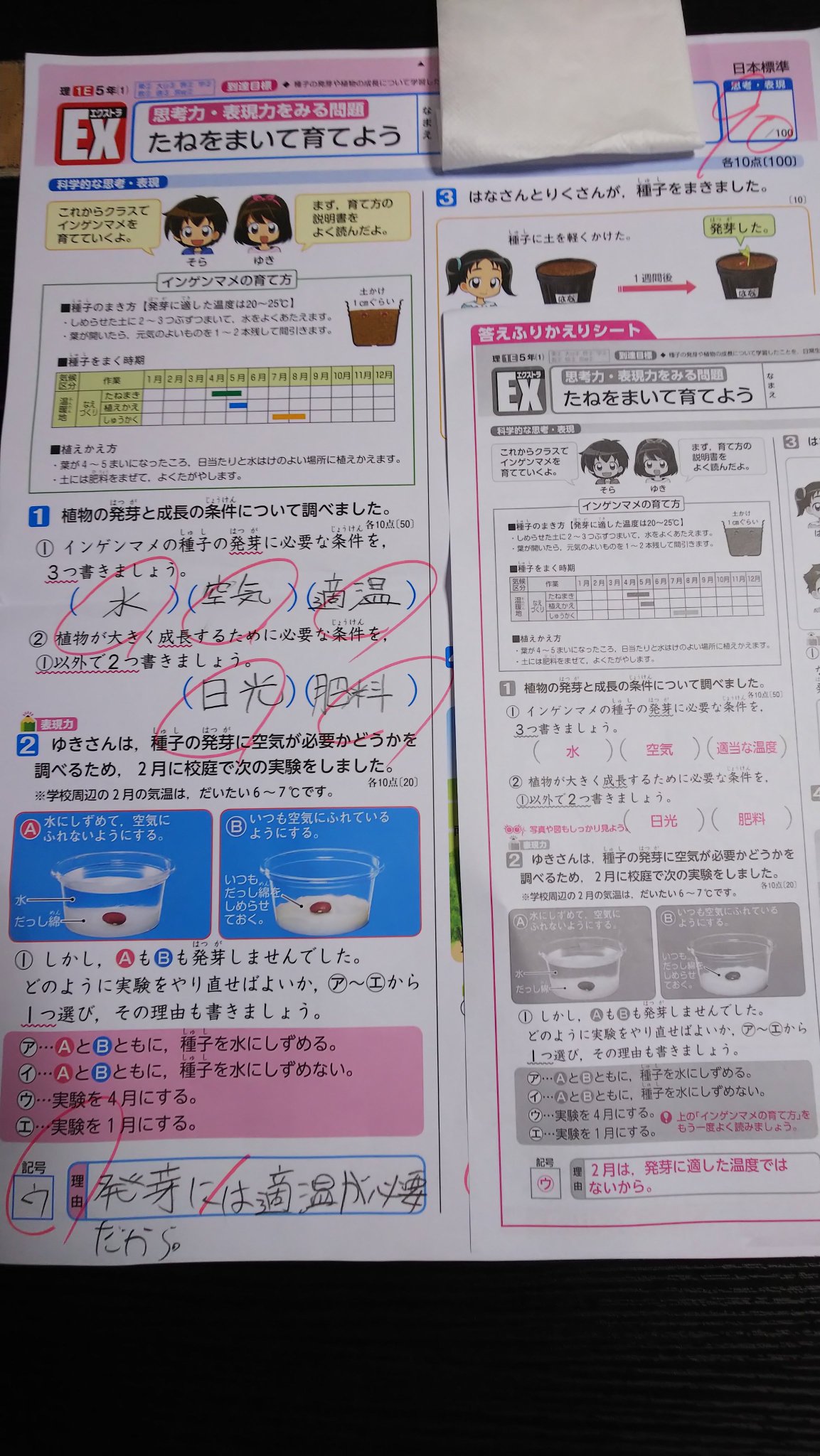 まゆろん 筋トレの効果を実感中 小５息子の理科のテスト これ 何で誤りなの