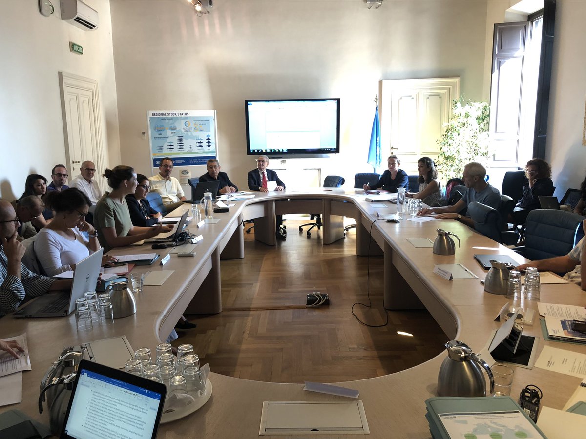 MedPAN's tweet photo. The final conference of the #FISHMPABLUE projet has just started in Rome. Representatives of European ministries of fisheries and other institutions will discuss how to capitalize on the outputs of the project. @Federparchi @WWFMed @MedPAN @APAM_Med #wwfadria @UN_FAO_GFCM hq https://t.co/By6li59FSE