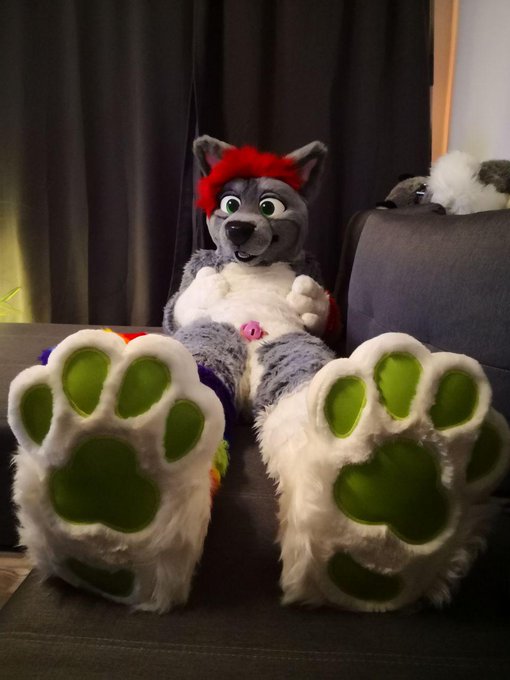 #locktober started today, so as a good boy I locked myself. Will I make it ? 🔐  #nsfw #porn #murrsuit<a href="/tag/locktober"class="tags">#locktober</a><a href="/tag/porn"class="tags"><span>#porn</span></a><a href="/tag/paws"class="tags"><span>#paws</span></a><a href="/tag/nsfw"class="tags"><span>#nsfw</span></a><a href="/tag/fursuit"class="tags"><span>#fursuit</span></a><a href="/tag/murrsuit"class="tags"><span>#murrsuit</span></a>