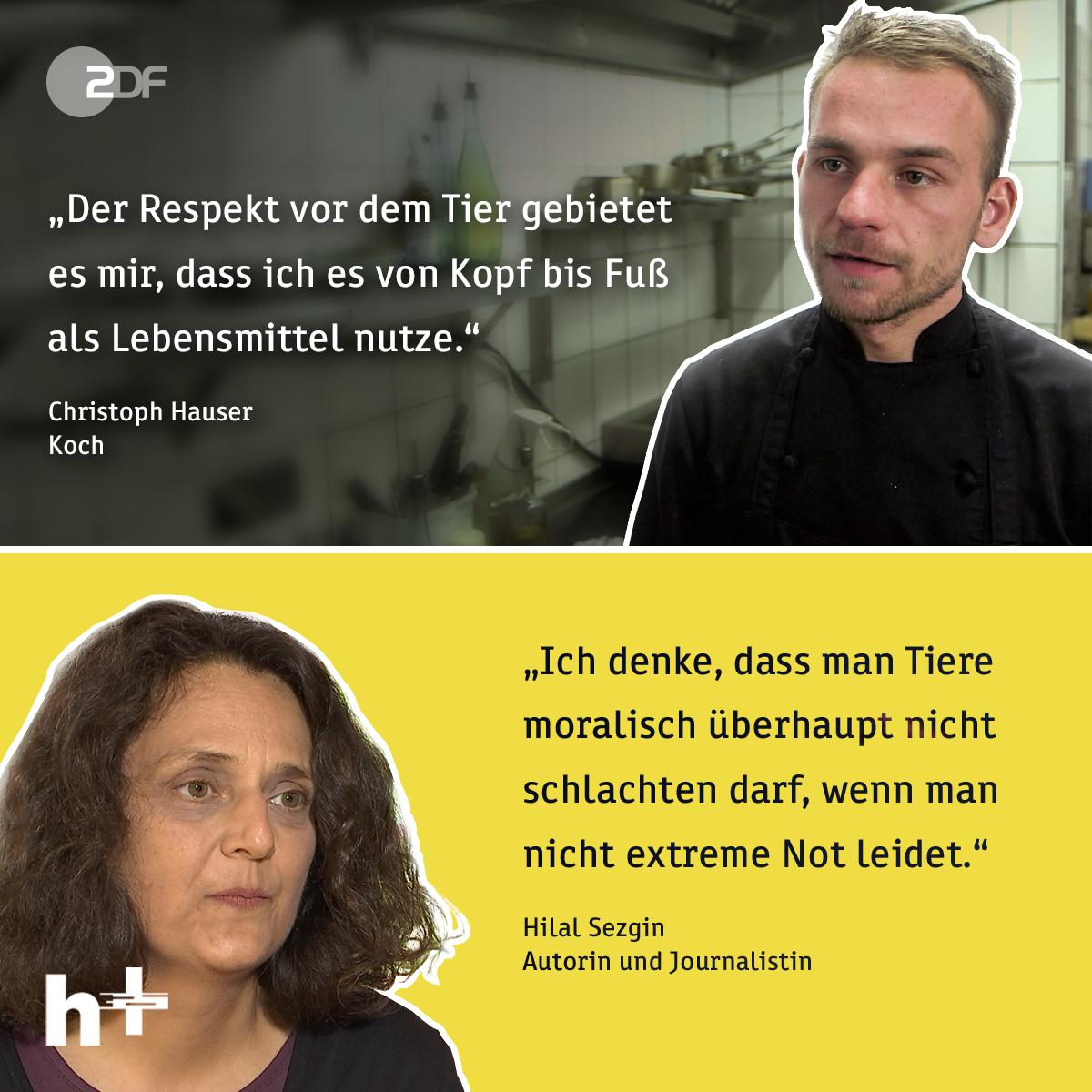 Zdf Heuteplus V Twitter Durfen Wir Tiere Toten Im Stream Um 20