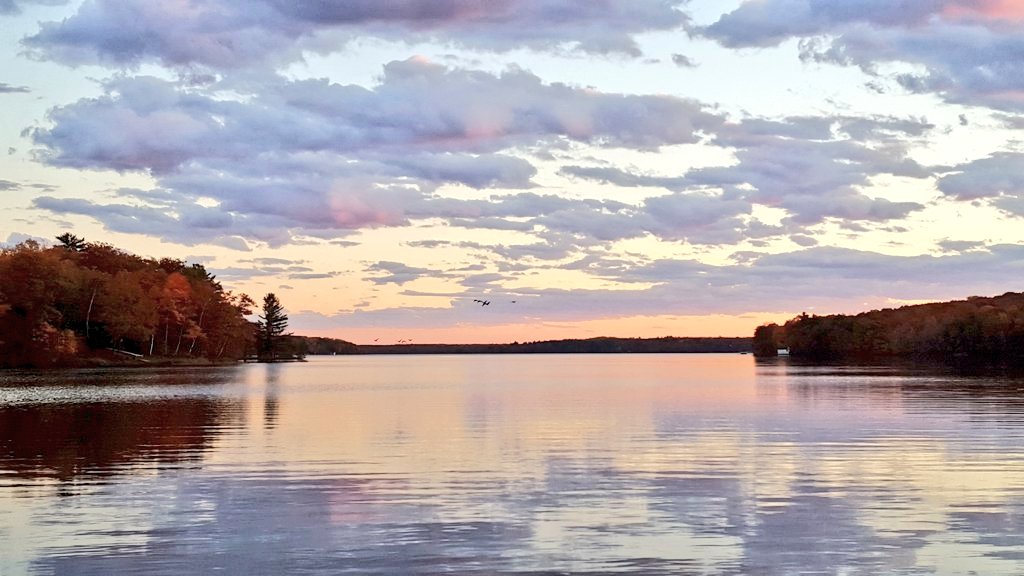 OlHossVike's tweet image. Happy #October1st , the start of the prettiest month of the year to be on the water. #FallBite 🎣😎👍🍂 #MuskieFishingBuildsCharacter 💪