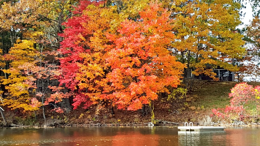 OlHossVike's tweet image. Happy #October1st , the start of the prettiest month of the year to be on the water. #FallBite 🎣😎👍🍂 #MuskieFishingBuildsCharacter 💪