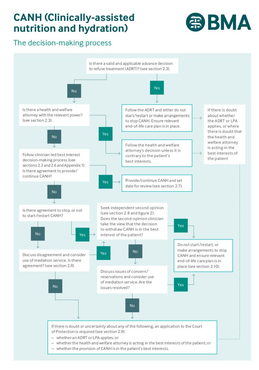 Mental Capacity Flow Chart