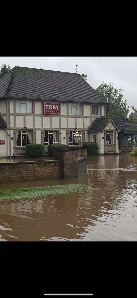 think someone may have overdone it with the gravy today.