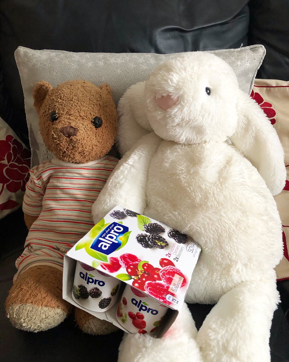 rex_the_bear's tweet photo. We’re having fruity yogurts today as a 
healthy snack 🐻😋
#rexportion #rexthebear #teddybear #teddy #bear #plushiecommunity #plushie #plushielife #alpro #yogurt #fruityogurt #vegan https://t.co/bdLF5yIrpo