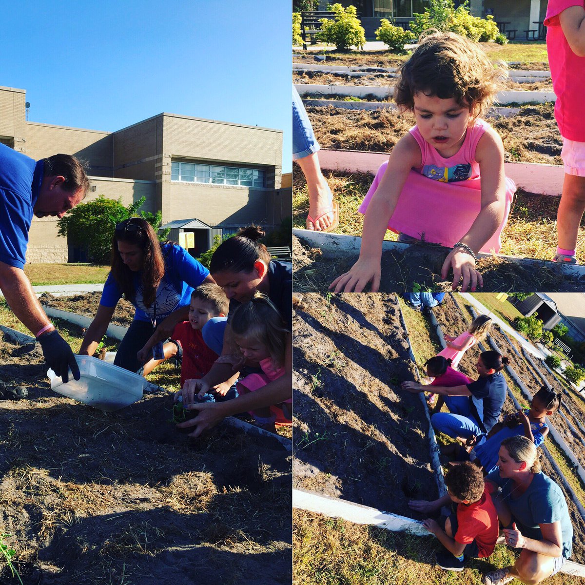 ApNighthawk's tweet photo. Our seeds have sprouted and are going into our garden! Our PEEPS students are so excited to watch their veggies grow! #Focusongrowing https://t.co/1xsZLZEVPe