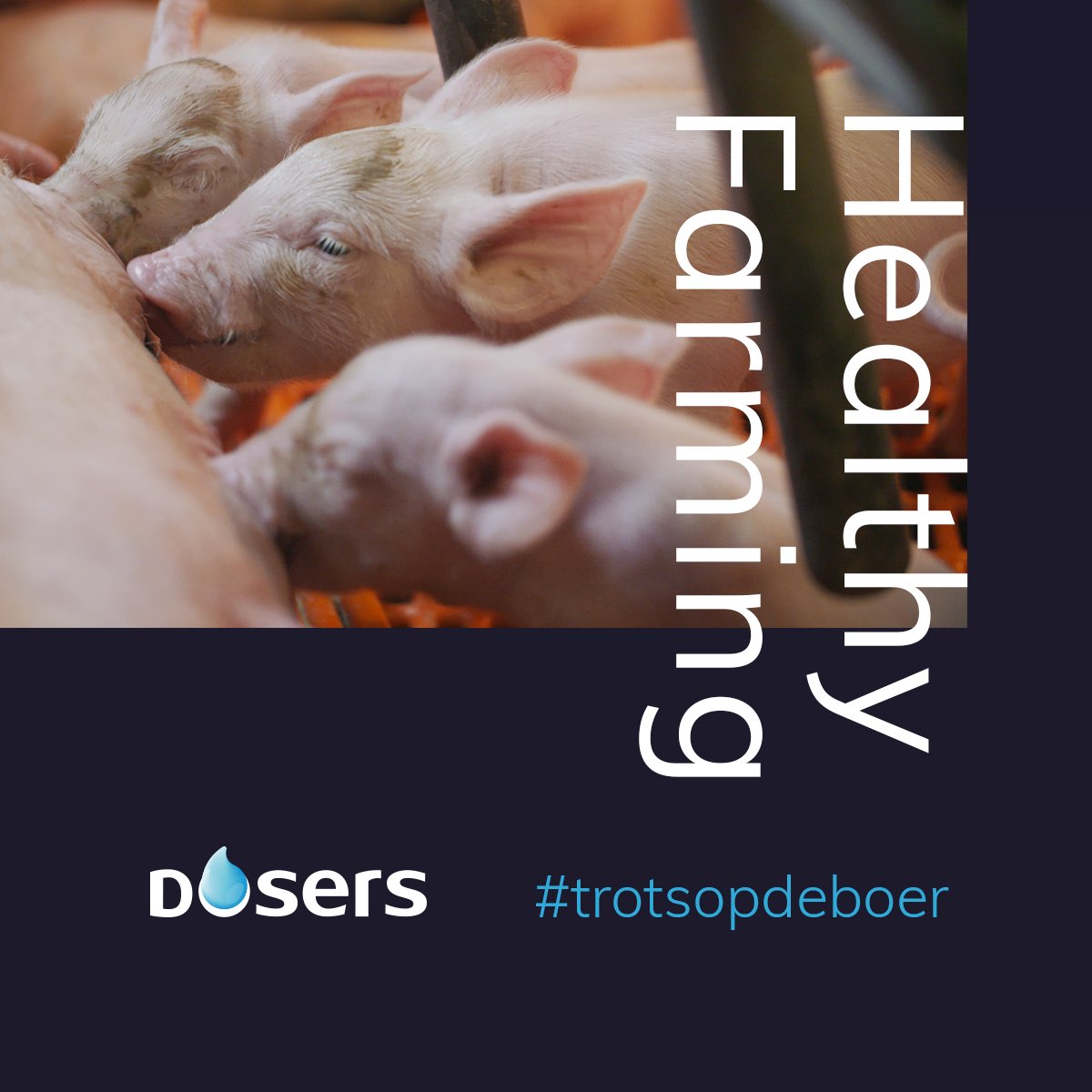 Dosers_nl's tweet photo. https://t.co/fgNHxwXZRt
