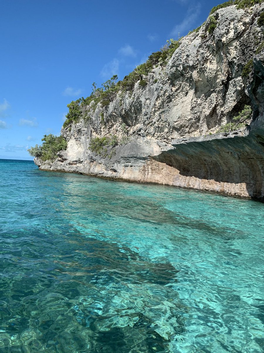 Discovering corners around Staniel Cay are the perfect way to spend the day 💦🇧🇸🌴

Come on experience a place like no other: bit.ly/SCYCLife  

#stanielcay #stanielcayyachtclub #exumas #outlislands #exumacays #flyawaybahamas #getoutthere #thebahamas #scyc