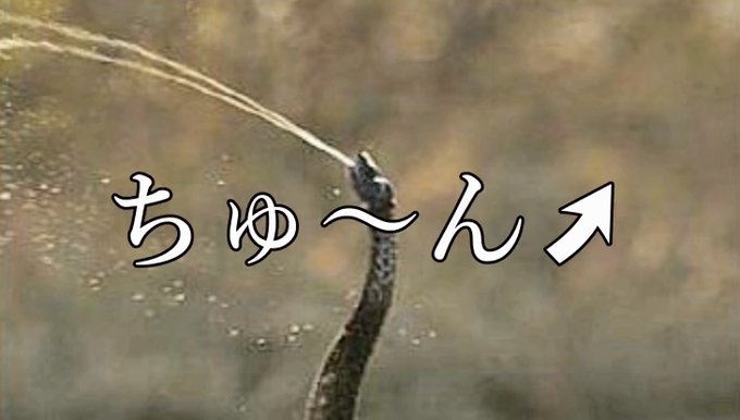 15rt来なかったらフォロワーさんに愛されてない死んどけのtwitterイラスト検索結果