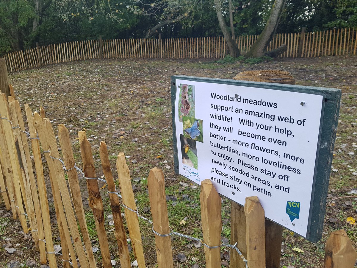 What would we do without our environmental volunteers?. More fantastic work going on in Russia Dock Woodland to create yet another Wildflower Meadow attracting #insects #bees &amp; #butterfly 👏👏 <a href="/TCVStaveHill/">TCVStaveHill</a> <a href="/FriendsRDW/">Russia Dock Woodland</a> <a href="/CWmasterplan/">Canada Water Masterplan</a> <a href="/rebeccalury/">Rebecca Lury</a> #rotherhithe <a href="/lb_southwark/">Southwark Council</a> #se16