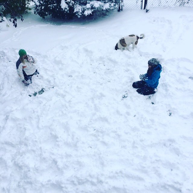CHNGoGlobal's tweet photo. ❄️Visiting students from Spain had a blast in the snow this weekend!❄️
#studyabroad #GoGlobal #travel #exchangestudent #education #student #wanderlust #internationalstudent #studentlife #study #adventure #dream #españa #calgary #canada #yyz #yvr #yyc #yyj #yeg #yql #ywg https://t.co/BtBvxLpXTa