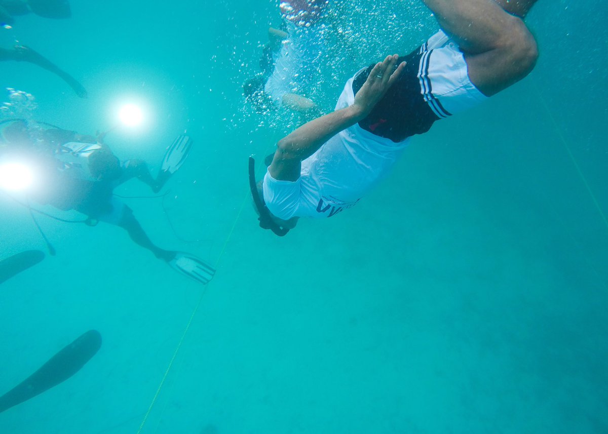 dyingregime's tweet photo. With 521 participants, including @ibusolih #Maldives has broken the #GuinnessWorldRecord for most people freediving simultaneously today!#NEYVAA @MoTmv @presidencymv
@GWR https://t.co/Rt9zk7yIiG