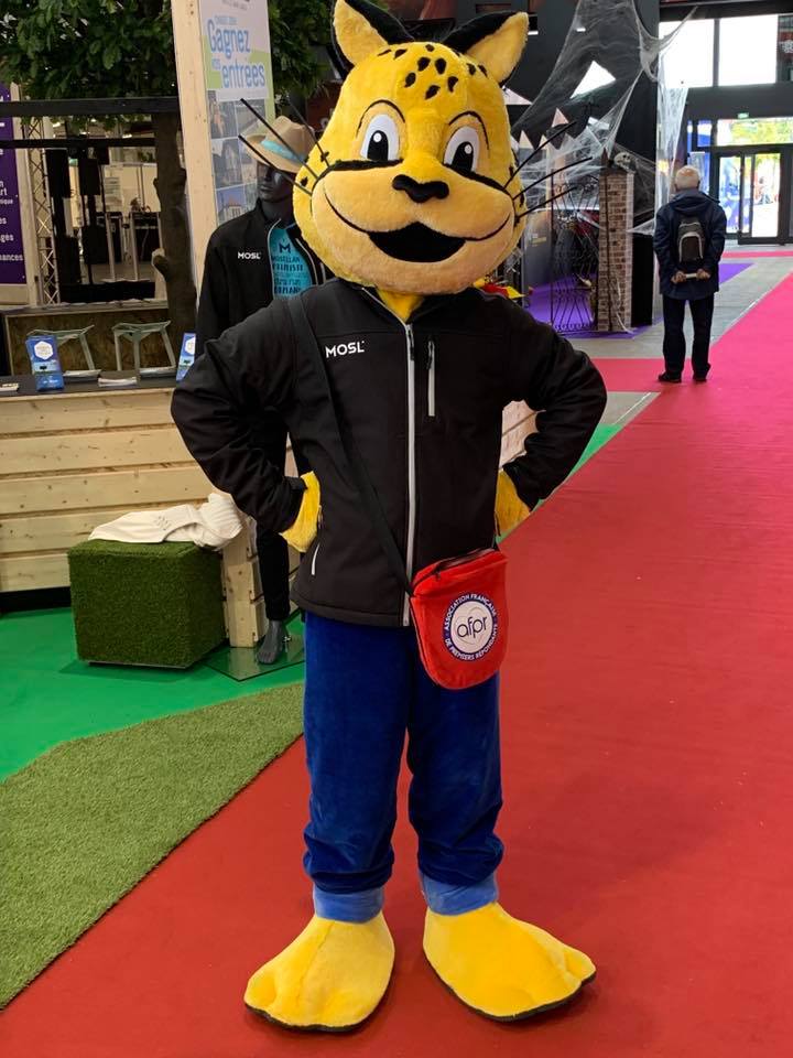 afprappli's tweet image. Lors de la @FIMetz  Afpi a mis avec fierté les couleurs de @MoselleSL.
Devenez Premier Répondant ⛑️