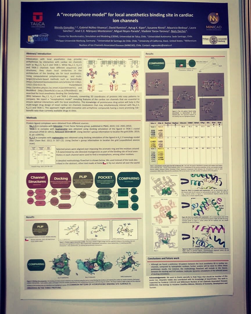 [INVESTIGACIÓN MiNICAD] 👉🏻Hoy la Dra. Wendy González, investigadora asociada de <a href="/MiNICAD_Chile/">MiNICAD</a>, presentará el póster: “A receptophore model for local anesthetics binding site in cardiac ion channels”, en la Sociedad de Fisiología Alemana 👏@CienciaMilenio <a href="/UTalca/">Universidad de Talca</a> #Milenio20Años