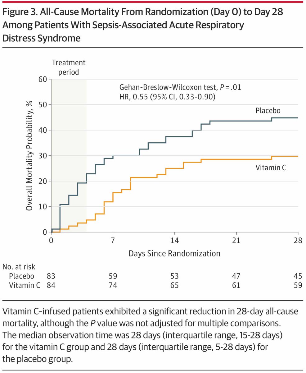 𝙟𝙤𝙨𝙝 𝙛𝙖𝙧𝙠𝙖𝙨 💊 tweet media