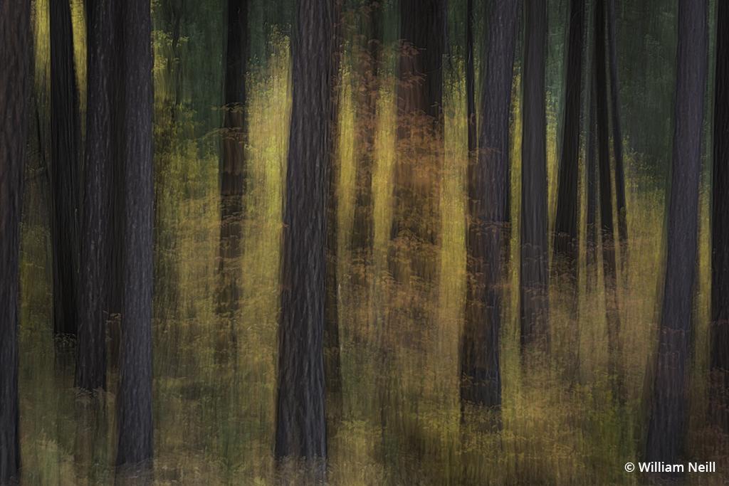 OutdoorPhotoMag's tweet photo. Impressions Of Autumn: Try something new this fall to stretch your creative vision. https://t.co/meXkDx2hTx #photography https://t.co/YEnAAvkZKA