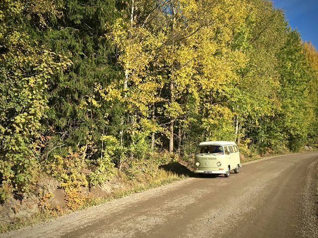 It's getting colourful here. #aircooled #earlybaywindow #aircooled_world #aircooled_society #aircooled_classics #vanlifers #classicvw #vanlifecamper #vwbus #vwbulli #vwkombi #campervan #campervans #homeiswhereyouparkit #vintagevan #westfalia #vwwestfalia… ift.tt/2ofDfxI