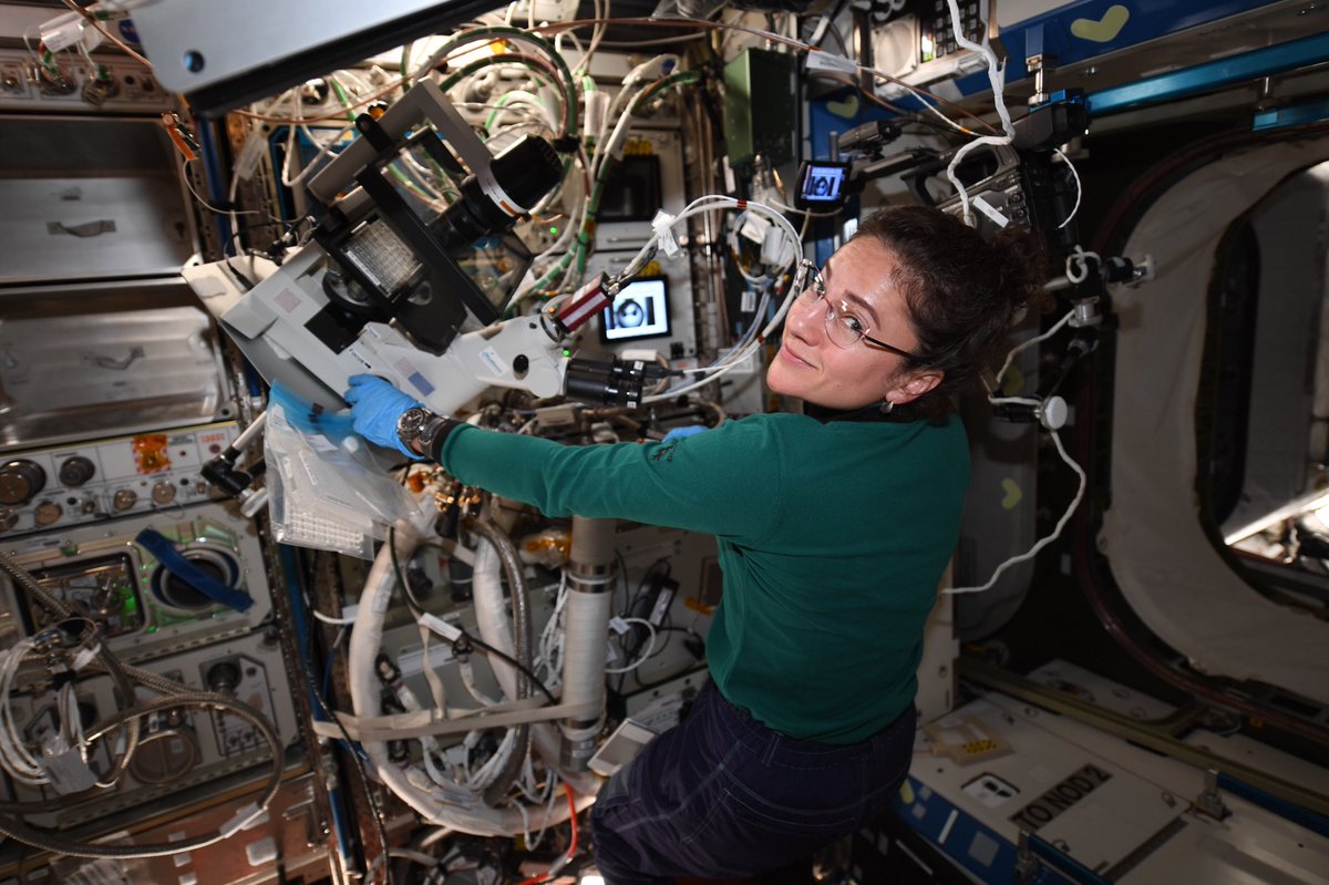 Jessica Meir tweet media