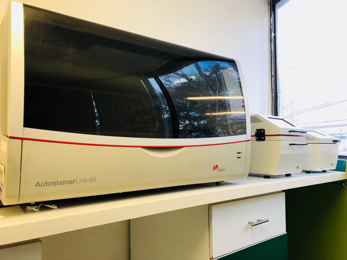 denatbio's tweet photo. En nuestro catálogo de exámenes de #cancerdepulmon contamos con la medición de PD-L1 que realizamos con la plataforma Autostainer Link 48 (Único en México), útilizando el kit completo PD-L1 IHC 22C3 pharmDx de @Agilent. #DNATBIO #Oncología #Cáncer @MSDLatAm @msd https://t.co/m6tpKkzoZo