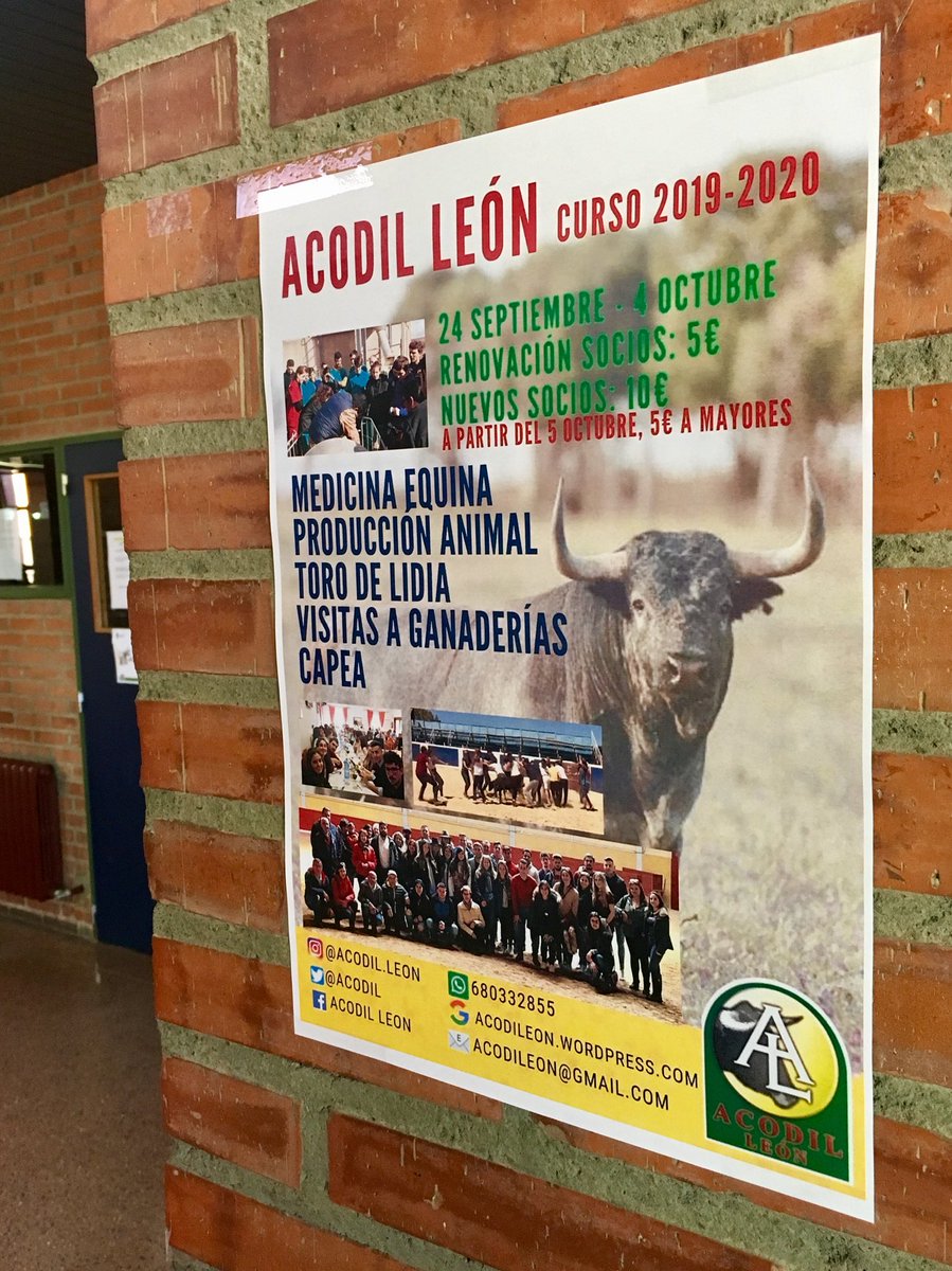 ACODlL's tweet photo. 🔴¿Aún no te has enterado?🔴

Este viernes se acaba la oferta, no te lo pienses más y ven a conocernos!
Apúntate y aprovéchate de las ventajas.
 
#Súmate🤘 https://t.co/7T0oOYVFF4