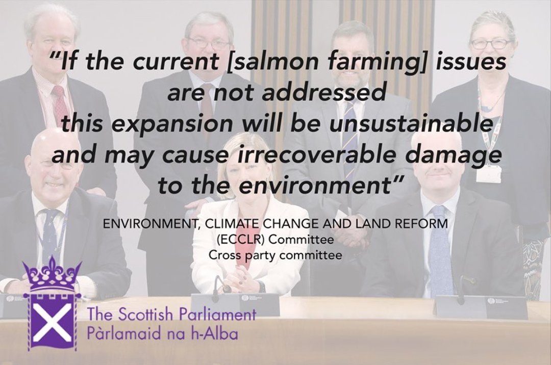 ASPaton's tweet image. #LetsNotForget this festive season as Denmark suspends its open-cage fish farming industry over environmental matters. The Scottish Government expands open-cage Salmon Fish Farming, ignoring specialist environmental advice. How does that sound ? @scotgov