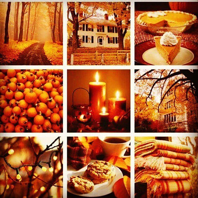 Happy October my witchy friends! 🖤🍂🖤 #seasonofthewitch #happiesttimeoftheyear 🎃 ift.tt/2nwHOUp