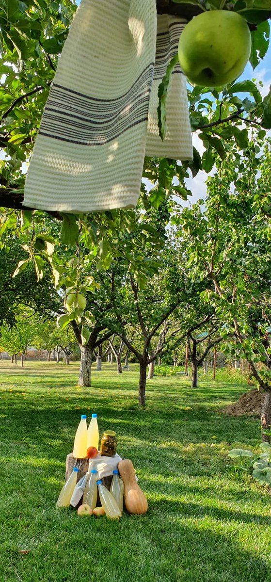 ifeastapp's tweet photo. When life gives you apples, make #homemade apple cider vinegar! 🍎
Please consider being a backer for our #kickstarter campaign &amp; help us end household #foodwaste 👉 https://t.co/oGHgBjCFJB 
We have 12 days to reach our goal!
#TipTuesday #TastyTuesday #crowdfunding #FOOD #recipe https://t.co/j0npqod9WD