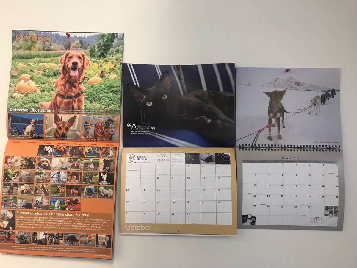 ajohnsocyber's tweet image. Dogs (and cats) of October adorning my office walls! #dogsofmicrosoft @SeattleHumane @BlairBraverman @QuinceMountain
