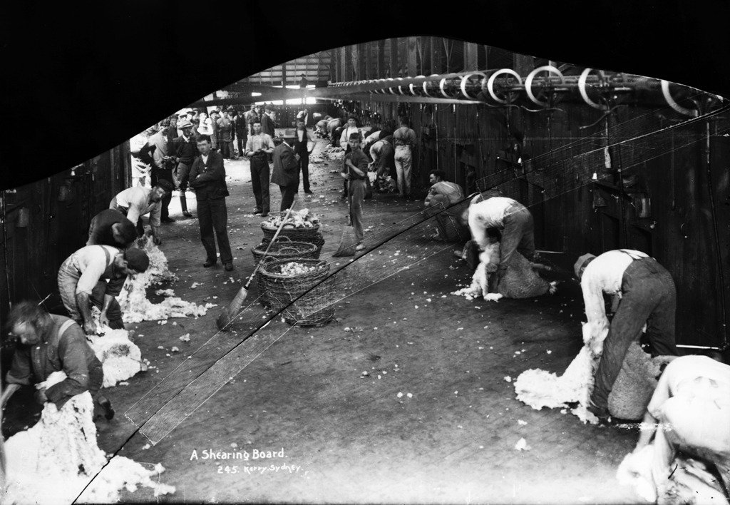 A shearing board #newoldstock