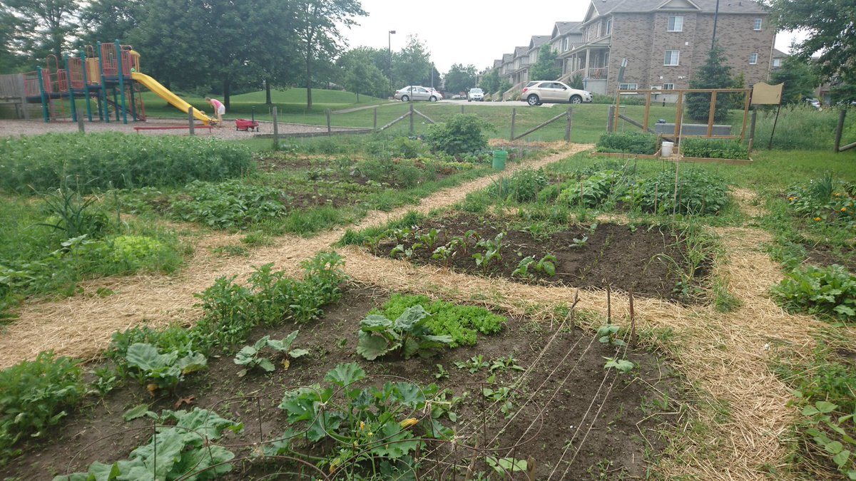 The deadline to start a new community garden in your local park is fast approaching on October 31. "Herb" your enthusiasm and apply today: ow.ly/MwYj50vWFI3