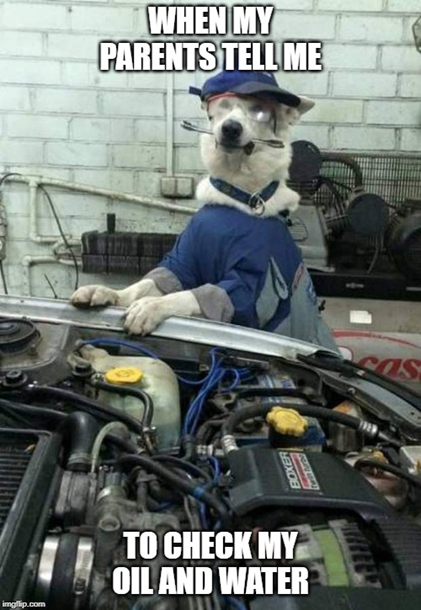 dash_hound_ins's tweet photo. Dash Hound Insurance is suitable for drivers aged 17 to 25!

Call us on 028 90 664999. 

#YoungDriversNI
https://t.co/nON6j7dDk2 https://t.co/d5M3pwFEXd