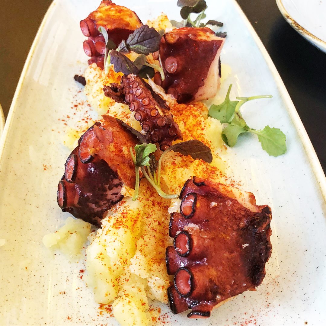 El éxito en el plato está asegurado 💕✨ Pulpo a la parrilla con pata rota y mojo.
.
.
.
#EstadoPuro #Pacoroncero #Pulpoalaparrilla