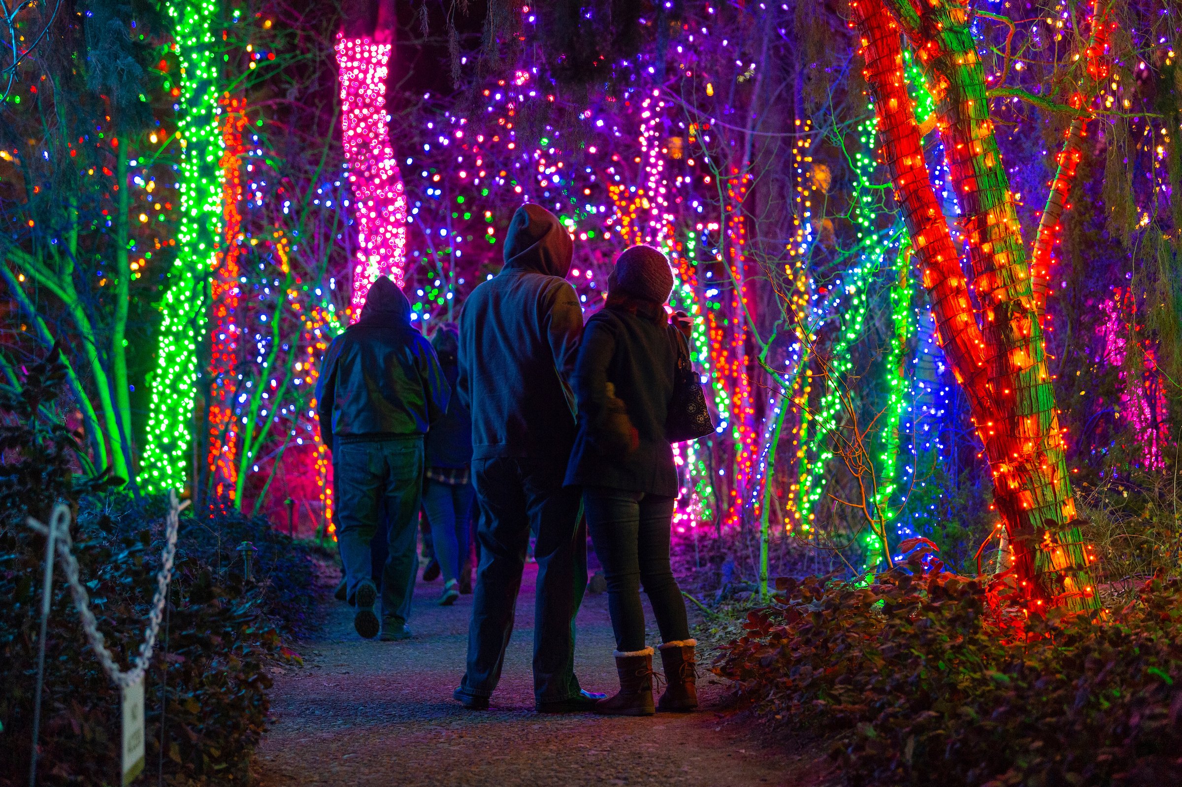 Denver Botanic Gardens on Twitter: "Tickets are now on for Blossoms of Light! tickets each night, will sell out in advance. The event takes place nightly November 29 - January