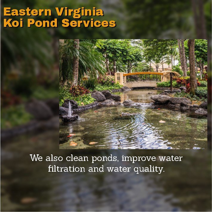 JackRob82187706's tweet photo. We build ponds and decorative water features. We also clean ponds, improve water filtration and water quality.
Call us now:+1(757)-871-9700
Email:jackrob36@gmail.com
#pond #koipond #ponddesign #pondimprovement #gardenadventure #farm #landscapedesign #ponddesigns #koiponddesign https://t.co/u2xFBRn2QR